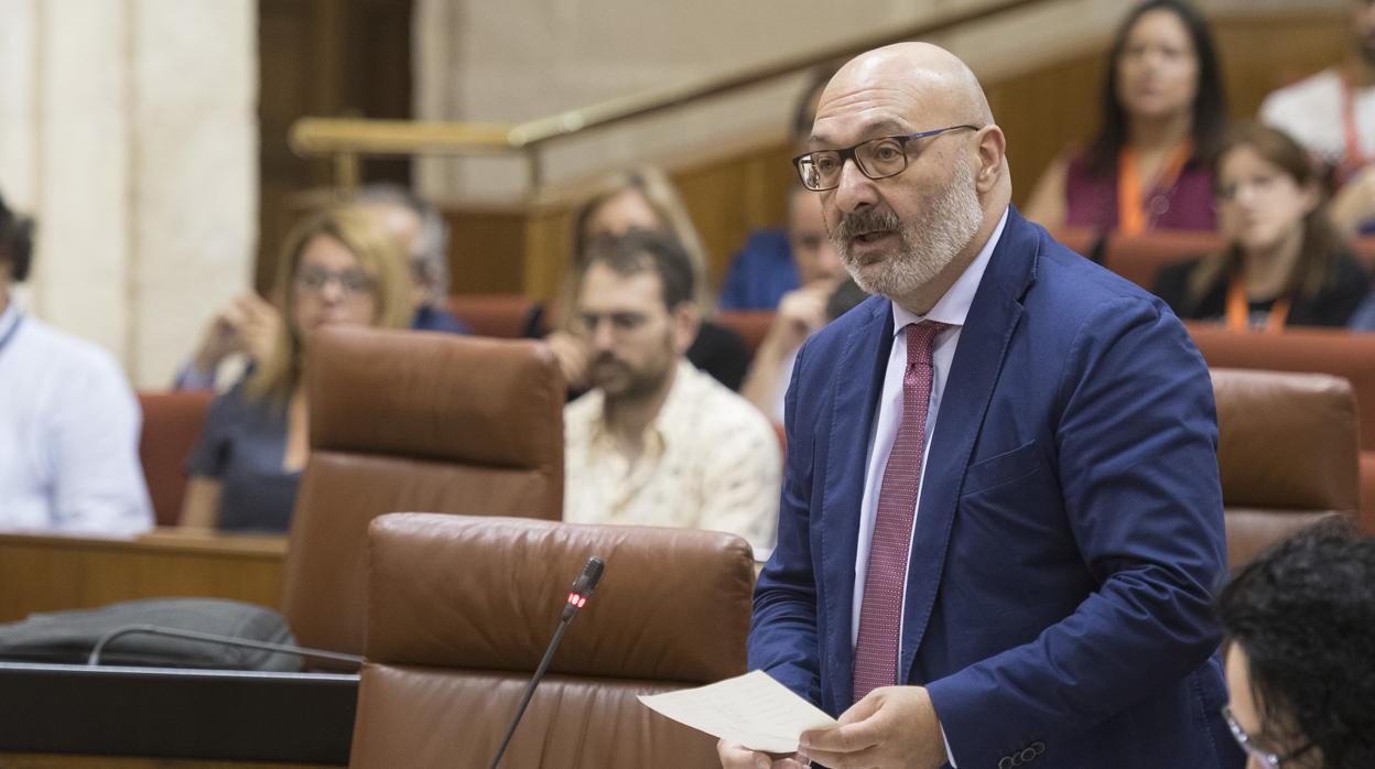 Alejandro Hernández, portavoz de Vox en el Parlamento andaluz