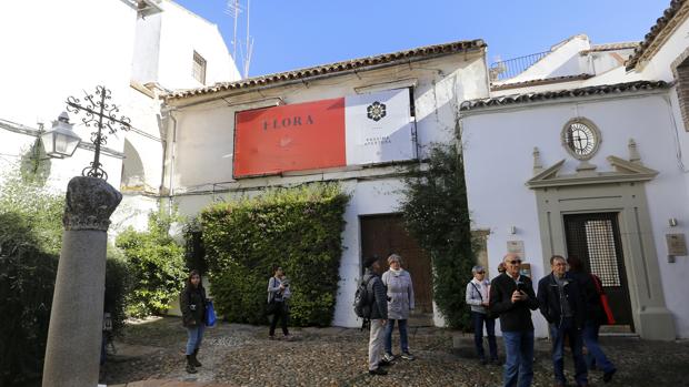 La Junta tramita la ayuda para el nuevo hotel de 5 estrellas en la calleja de las Flores de Córdoba