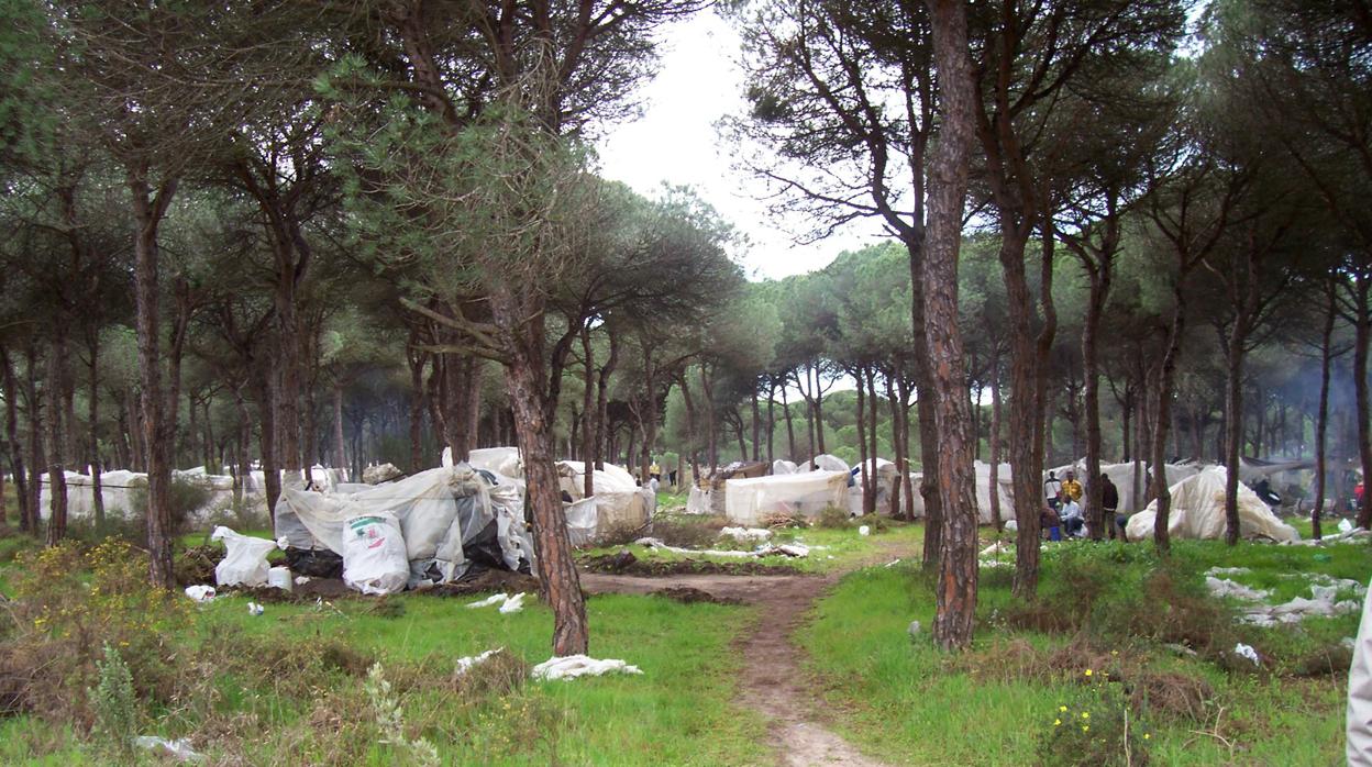 Imagen de un asentamiento ilegal en Lepe