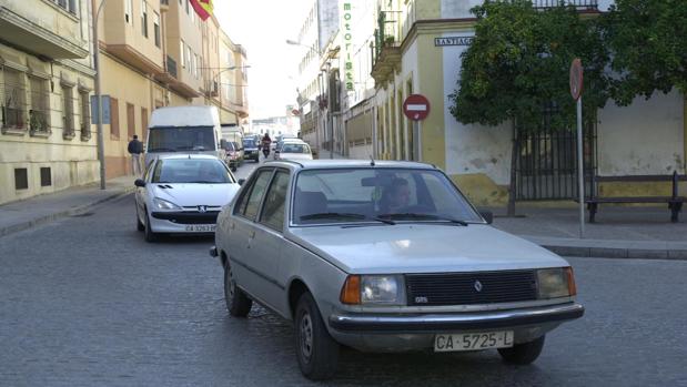 El PP critica la «cada vez mayor» presencia de ratas en calles y espacios públicos de Jerez de la Frontera