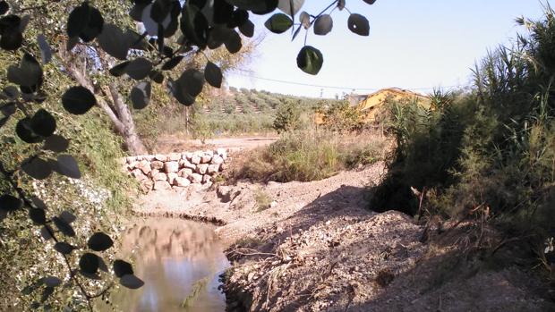 Ecologistas en Acción denuncia la destrucción de parte   del río Salado en Luque