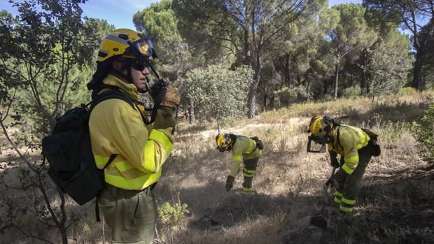 El 55 por ciento de los incendios en Córdoba son investigados como intencionados