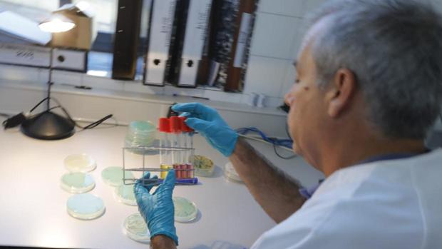 Detectan listeriosis en partidas de «lomo al Jerez» y «lomo a la pimienta» de Magrudis