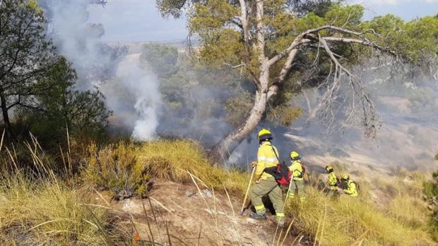 Declarado un incendio forestal en el término municipal de Quesada, en Jaén