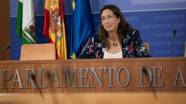 «Cualquier contacto bilateral del Gobierno con las comunidades, si hace daño a Andalucía, tendrá en frente al PP»