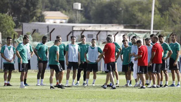 Córdoba CF-Real Murcia, el balón como única terapia para la locura institucional