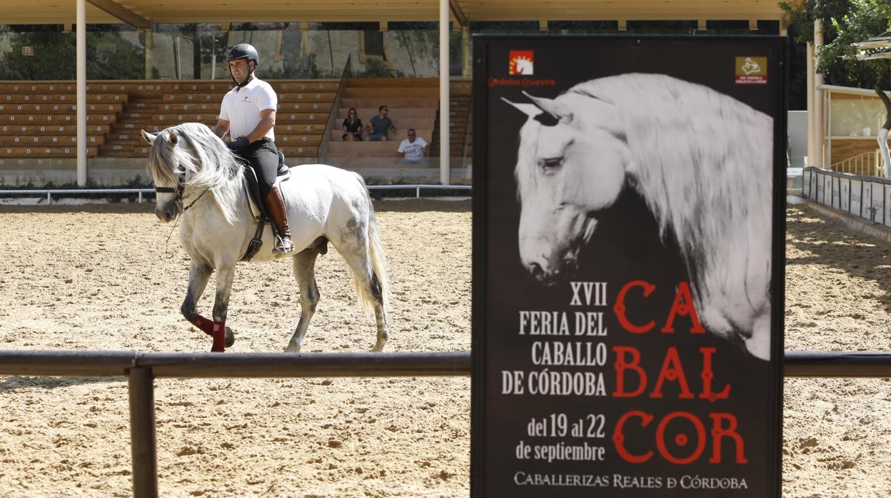 Un jinete en Caballerizas Reales, donde se celebrará Cabalcor 2019