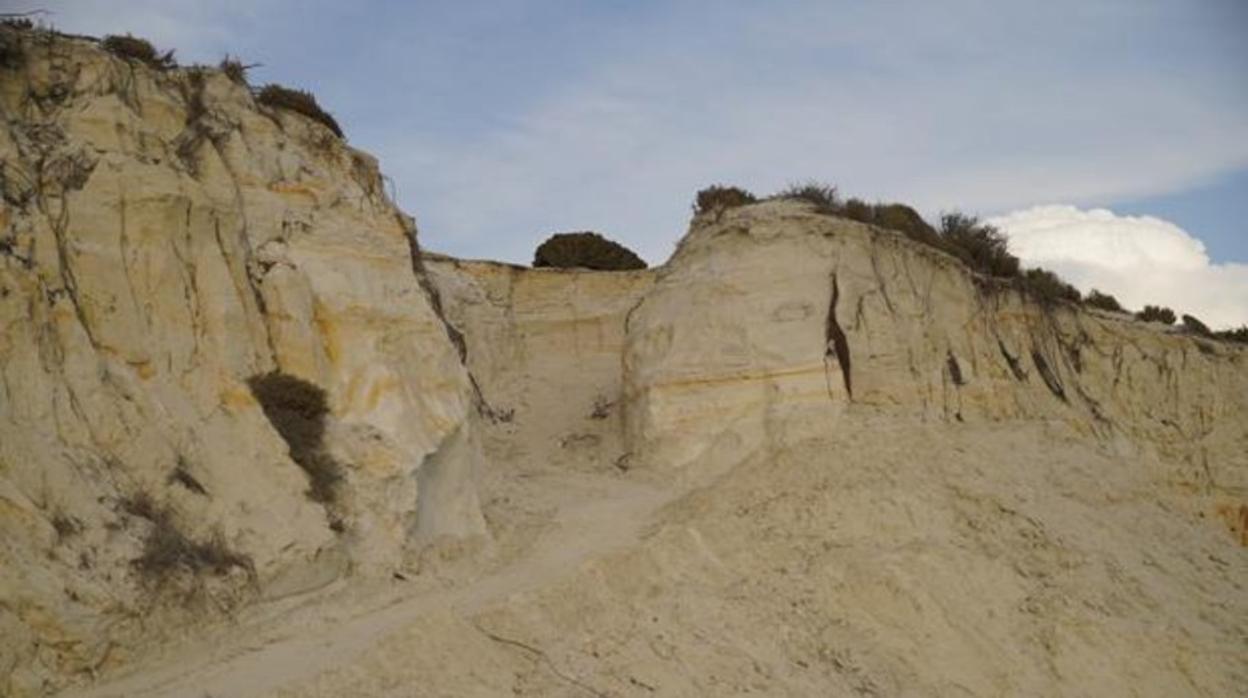 El juez ordena corregir los impactos producidos por las obras en El Asperillo en el parque natural de Doñana