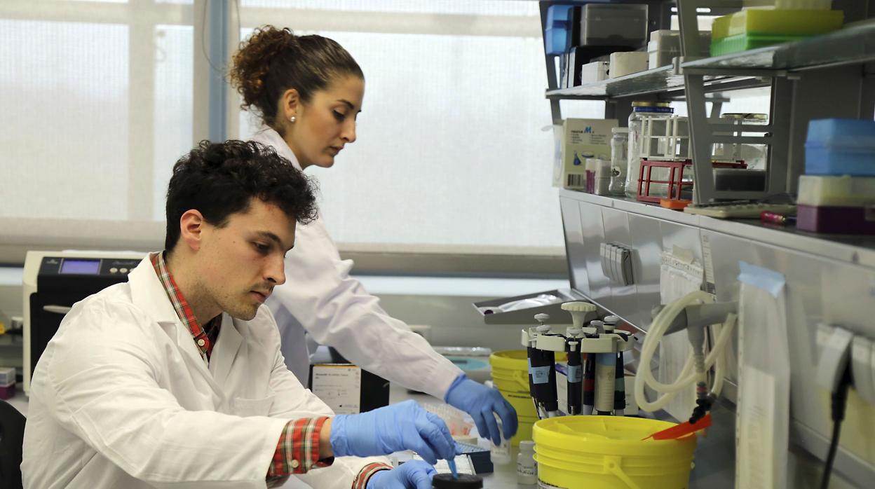 Alumnos de la Universidad de Granada en un trabajo de prácticas