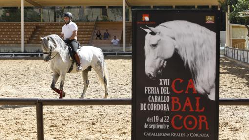 Un jinete en las Caballerizas Reales, junto al cartel de Cabalcor