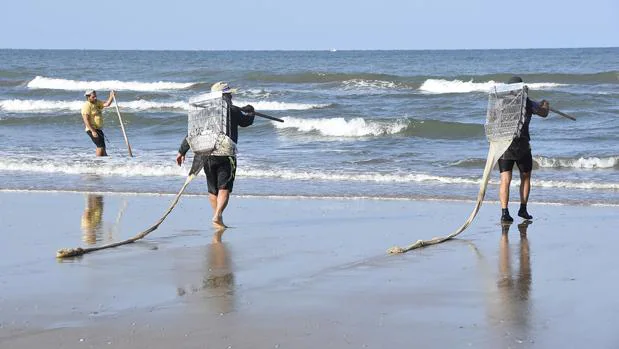 Pesca concede cincuenta licencias para el marisqueo a pie en el Golfo de Cádiz