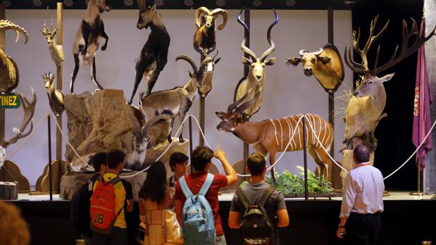 Todo lo que necesitas saber sobre la Feria Intercaza de Córdoba 2019