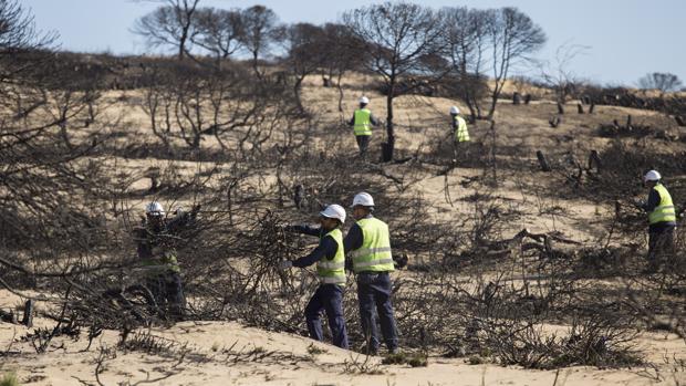 Perjudicados por el incendio de Doñana se movilizan para pedir ayudas y agilidad en la causa judicial