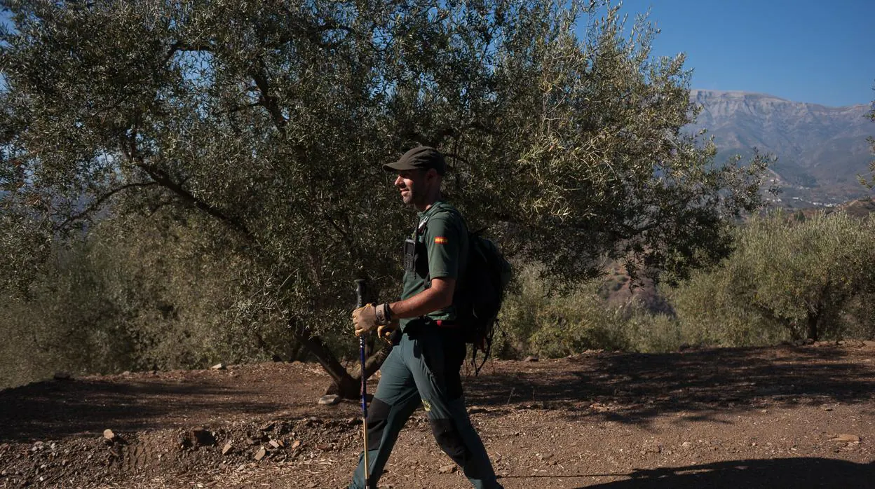La Guardia Civil sigue buscando a Dana Leonte en el campo