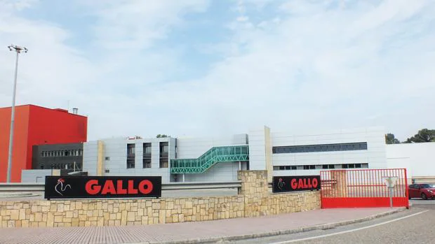 Competencia autoriza que Proa Capital compre Pastas Gallo, dueña de una gran fábrica en El Carpio