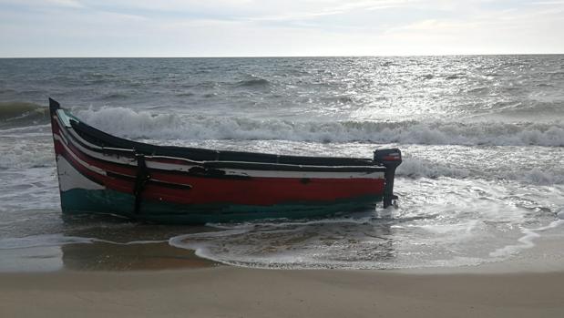 Tercera patera del año en Doñana