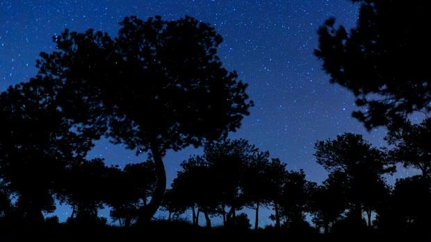 Los Pedroches aprovecha el Día de la Observación de la Luna para potenciar su reserva Starlight