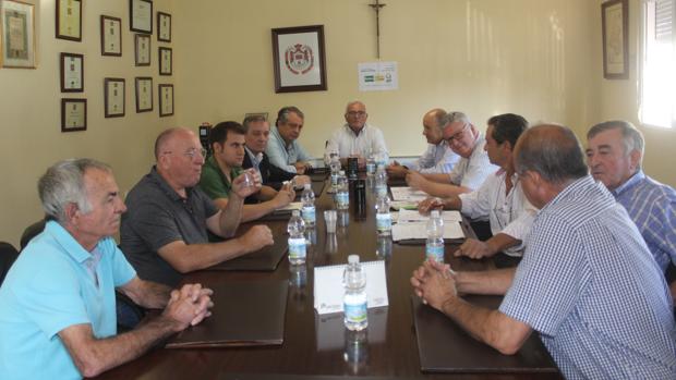 El sector urge a la activación del almacenamiento privado ante la caída de precios del aceite de oliva