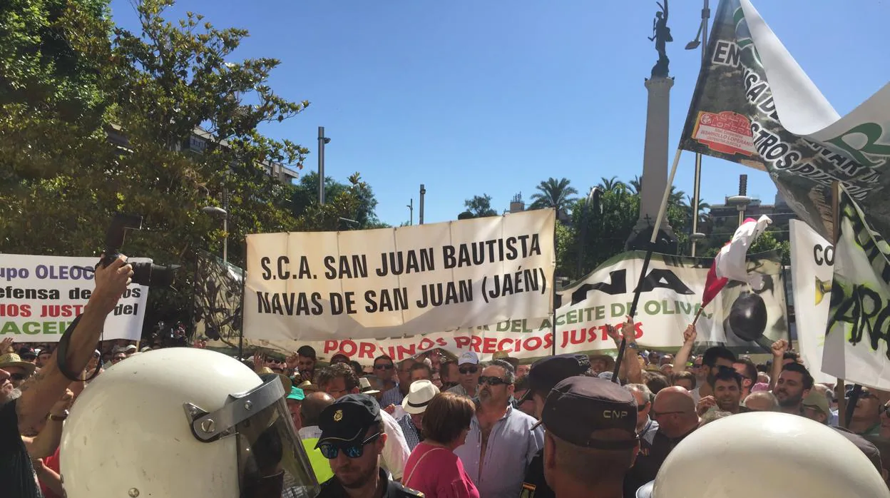 Concentración de agricultores en Jaén por el bajo precio del aceite de oliva