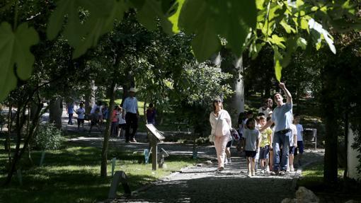 ¿Tienes planes para el fin de semana? Aquí tienes las mejores propuestas para los próximos días en Córdoba