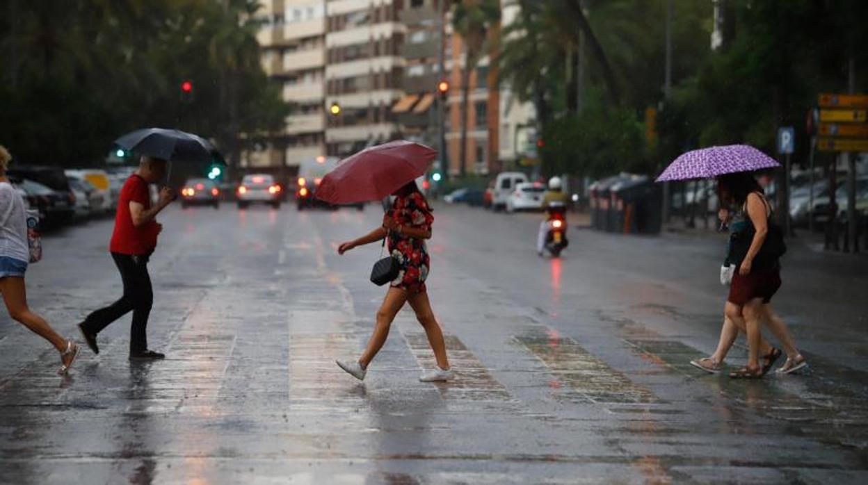 Viandantes cruzan un paso de peatones en el Paseo de la Victoria de Córdoba bajo la lluvia