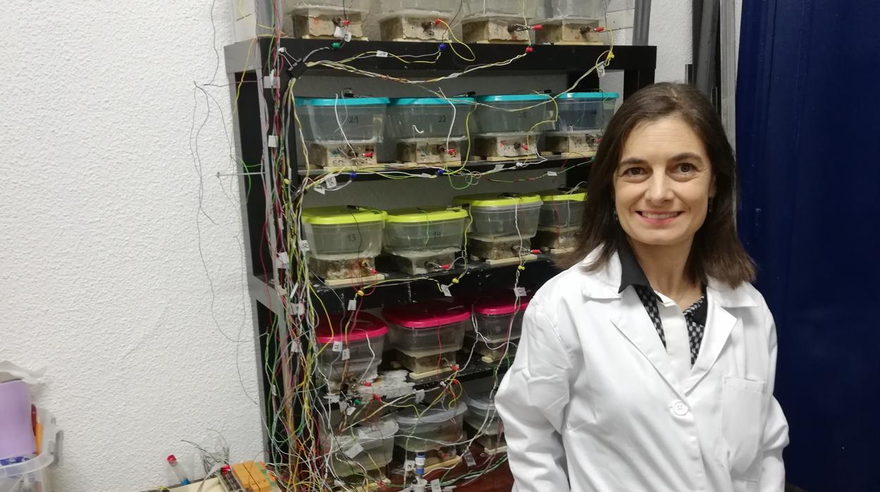 La investigadora Mercedes Sánchez en el laboratorio de la UCO