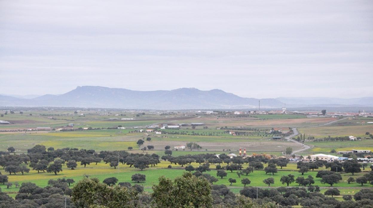 Imagen de la dehesa con encinas y alcornoques