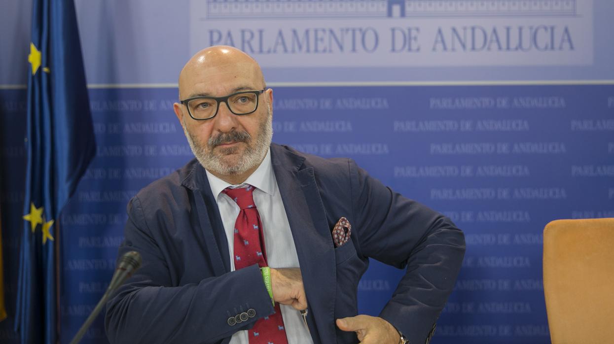 El portavoz de Vox en el Grupo Parlamentario, Alejandro Hernández