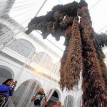 Festival Flora 2019: Esculturas de olores lejanos