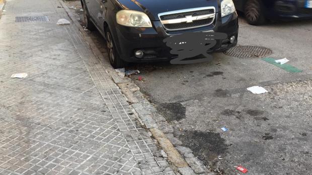 Denuncian basuras y roedores alrededor de un centro escolar de Jerez de la Frontera