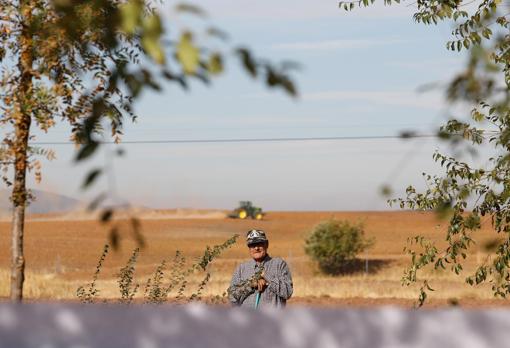 Jerónimo junto a su pequeño huerto en El Porvenir