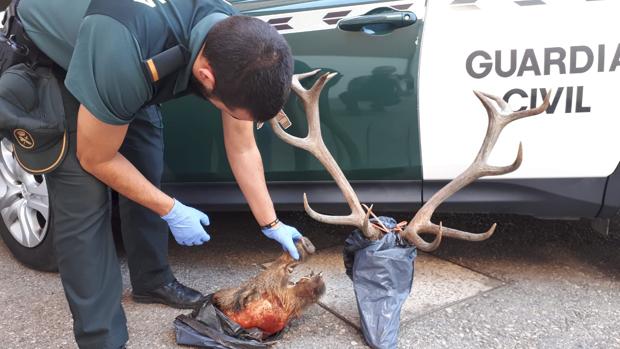 Dispositivo especial de la Guardia Civil para combatir el furtivismo en los 4 parques naturales de Jaén