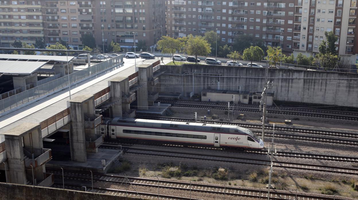 Ave a su paso por la capital cordobesa