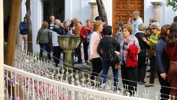 Una jornada de primavera para conocer las «esculturas» de Flora en Córdoba