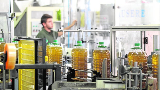 La exportación agroalimentaria de Córdoba cae un 3,3% por el aceite de oliva