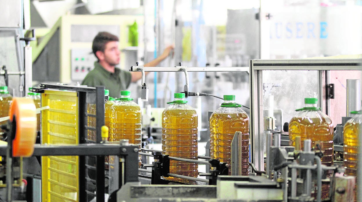 Planta de envasado de aceite en Córdoba