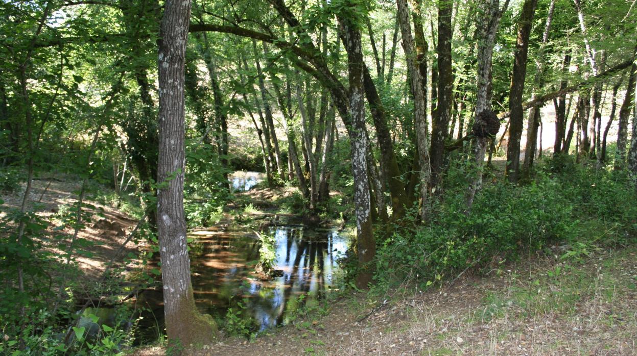 Paisaje en torno al arroyo Bejarano