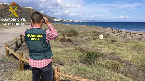 Detienen a un hombre por el robo de mil postes de madera de dos metros en Almería