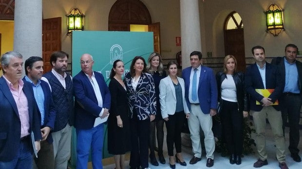 Andalucía producirá casi un millón de toneladas de aceite de oliva, un tercio menos que la pasada campaña