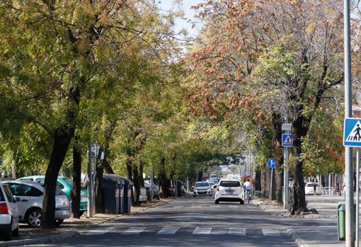 Anchura de la calzada, que se pretende duplicar