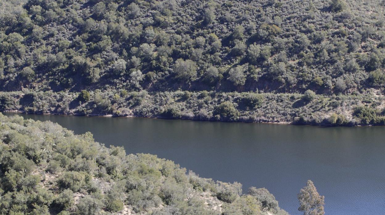 Sierra de Hornachuelos, donde se ubica la finca La Loma