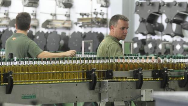 El sector fía el éxito de la campaña del aceite en Córdoba a la subida de precios en noviembre