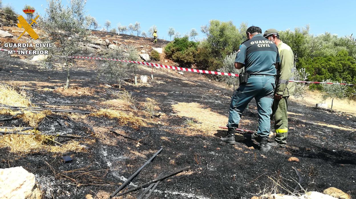 Agentes del Seprona de Córdoba en una superficie quemada