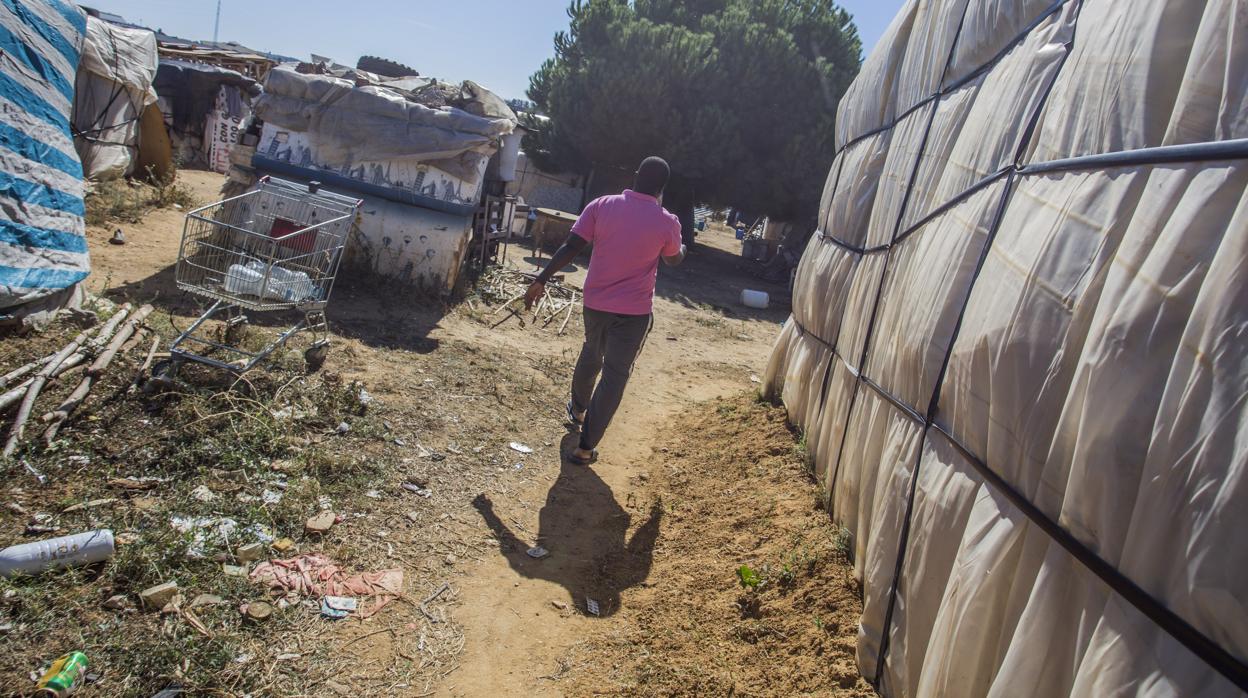Un inmigrante camina por un asentamiento chabolista de Huelva