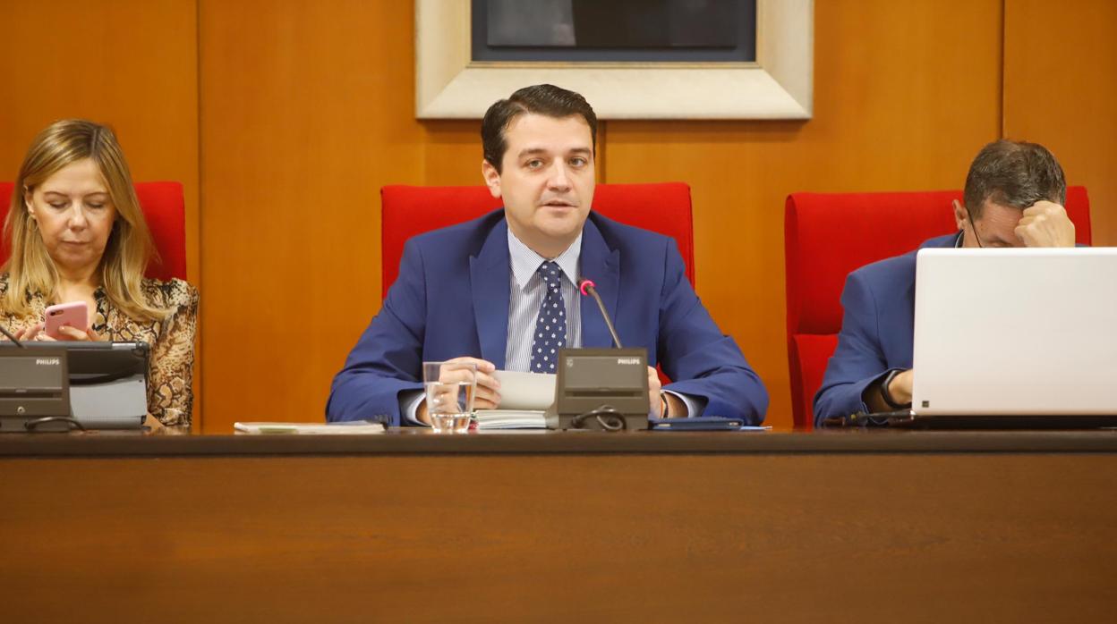 El alcalde, José María Bellido, durante un Pleno del Ayuntamiento de Córdoba