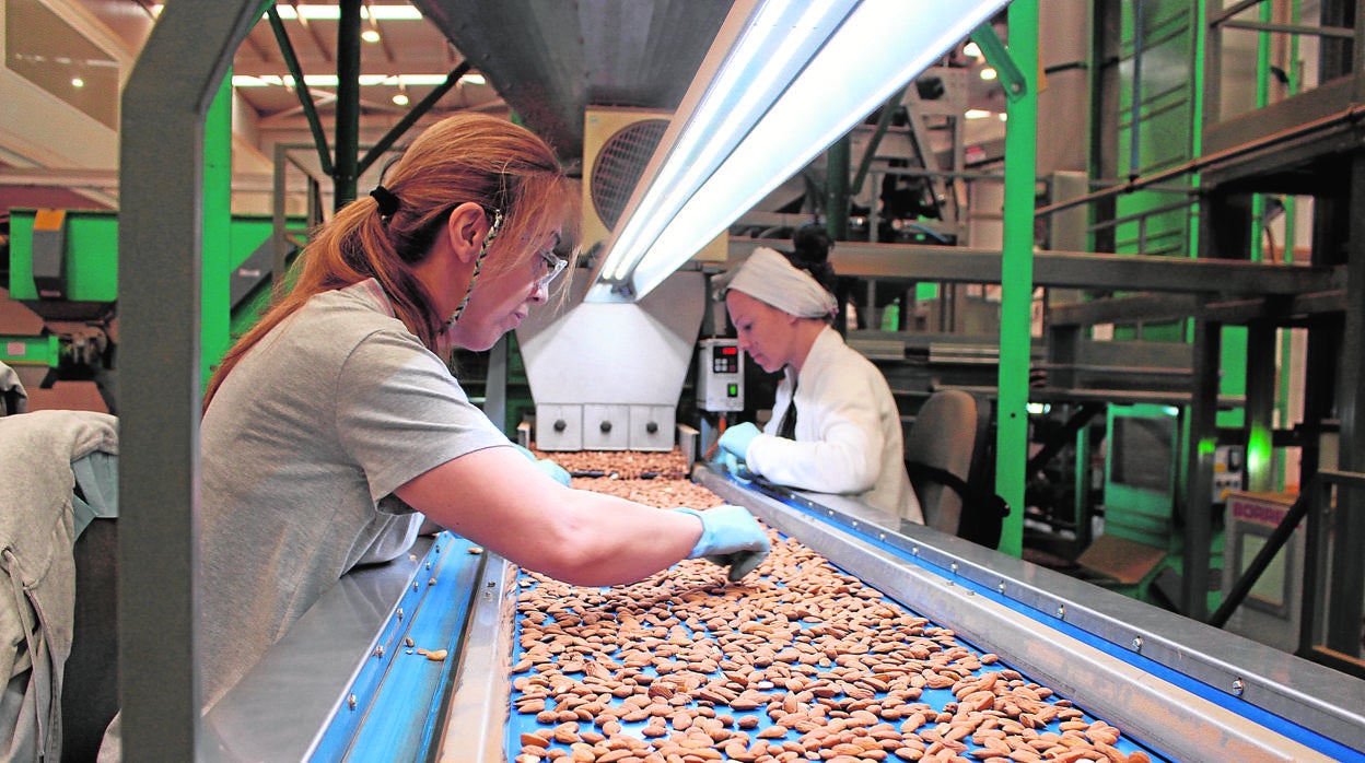 Trabajadoras de la fábrica de Dafisa en La Carlota