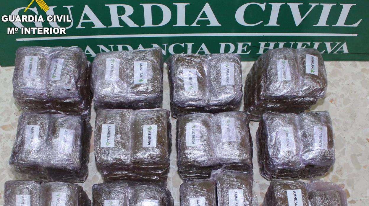 Parte de la droga intervenida por la Guardia Civil