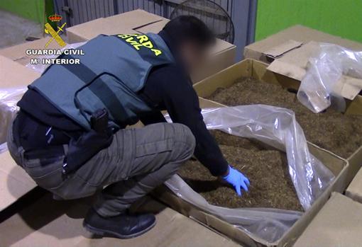 La Guardia Civil desmantela una fábrica ilegal de tabaco en Lucena con diez detenidos