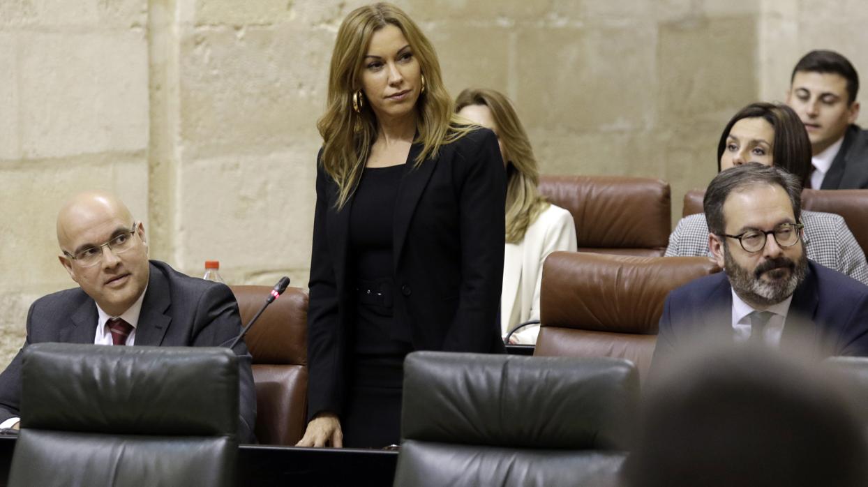 Romero en una sesión del Parlamento andaluz