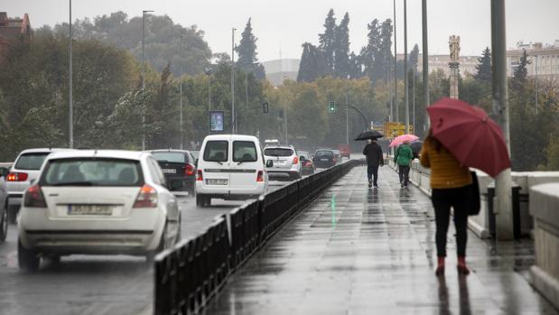 El Ayuntamiento de Córdoba entoldará el Puente de San Rafael sin reducir sus carriles